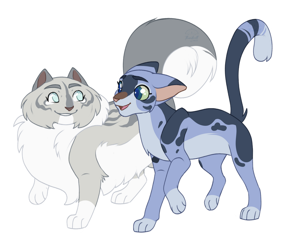 Potatoe Chibi Shrimpkit (ivy)